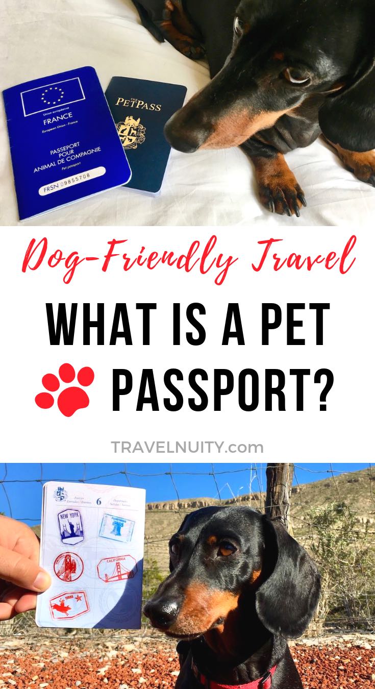 pet passport for air travel