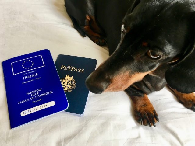 Dog passports