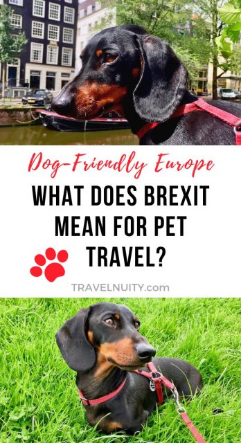 Pet Travel After Brexit