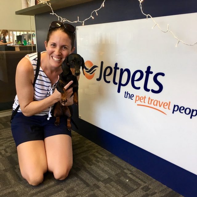 Picking up dog at Jetpets