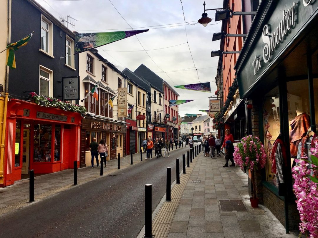 DogFriendly Republic of Ireland Travelling with a Dog Travelnuity