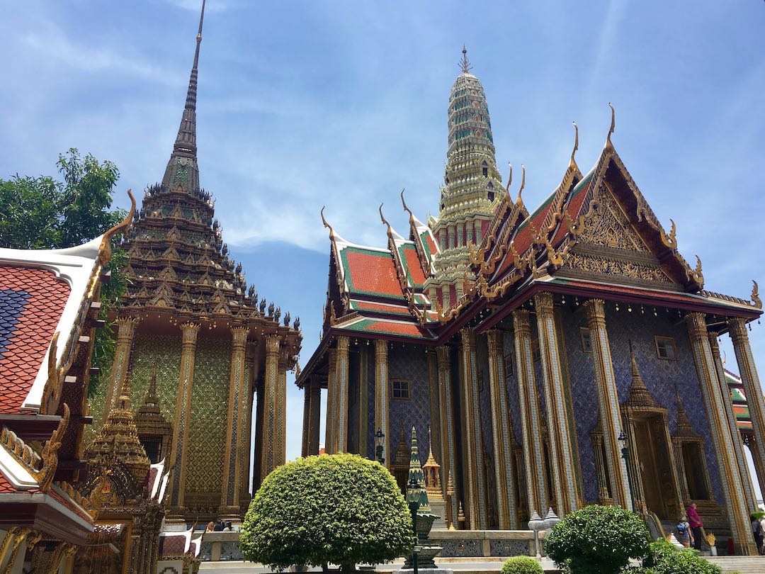 How to Take Your Dog Overseas from Australia Travelnuity