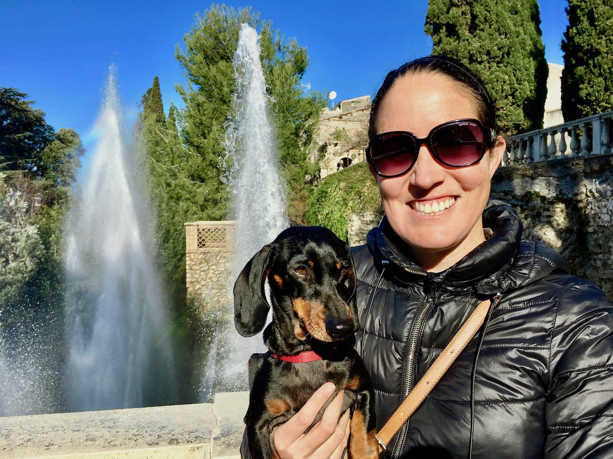 italy travel with dog