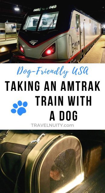Taking an Amtrak Train with a Dog pin