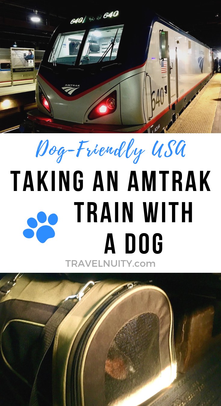 can a dog travel on amtrak