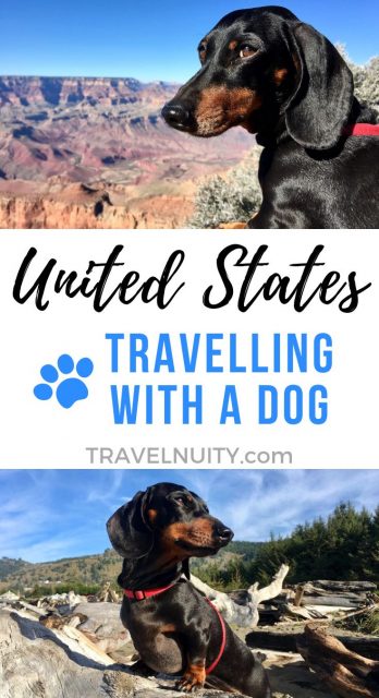 USA Dog-Friendly Travel