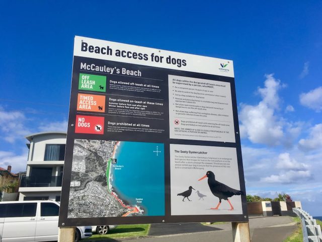 McCauley's Beach Thirroul