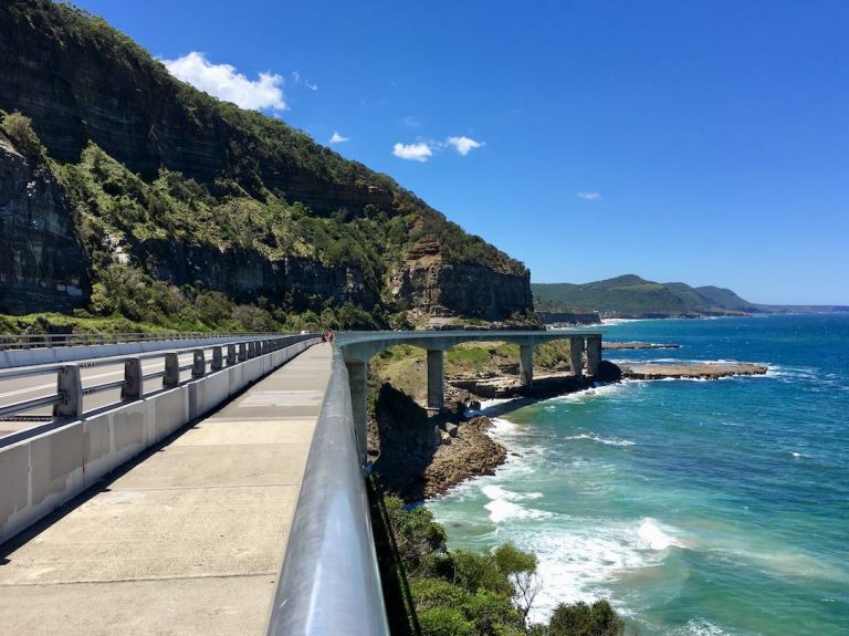 DogFriendly Wollongong Visiting the Gong with a Dog Travelnuity