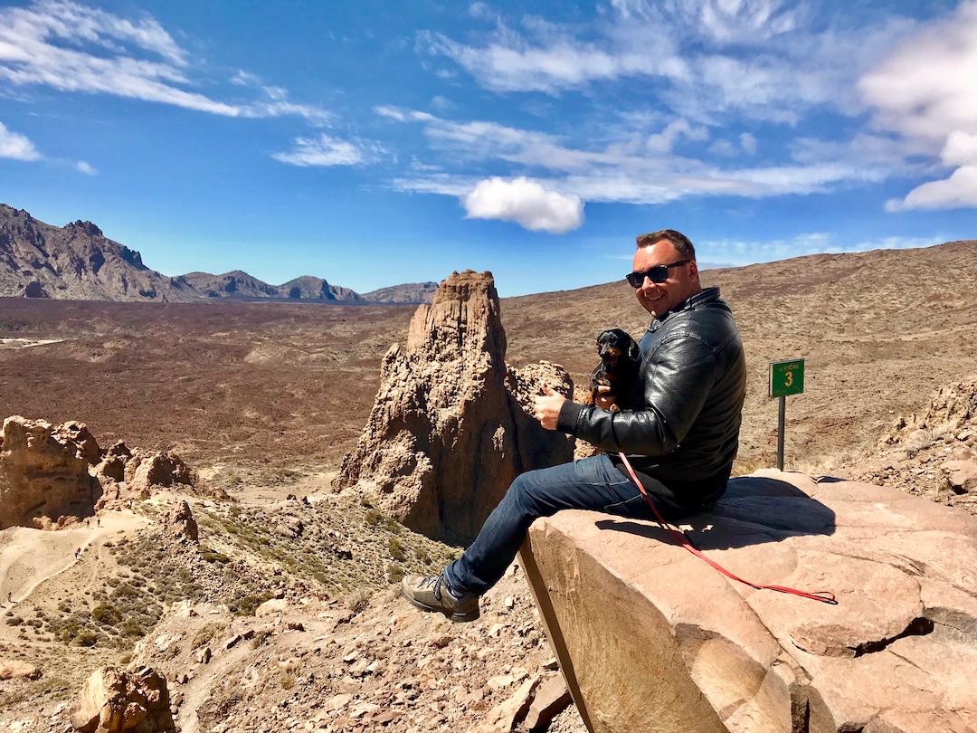 Which UK Airlines Allow Pets Onboard in 2024? Travelnuity