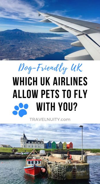 Flying with a dog UK