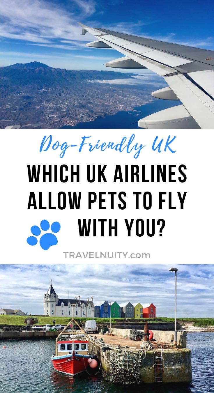 Which UK Airlines Allow Pets Onboard in 2024? Travelnuity