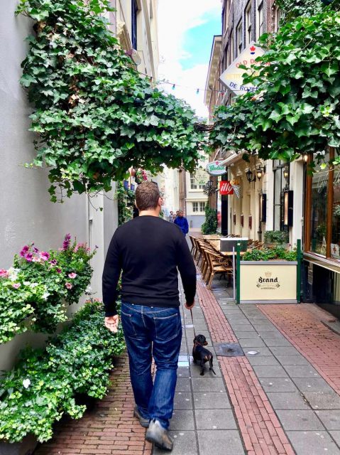 Dog-friendly Amsterdam