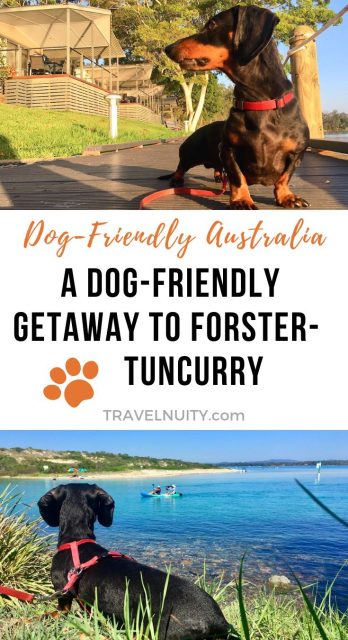 Dog-friendly Forster Tuncurry getaway