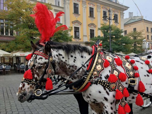 Horse-drawn carriages in Krakow