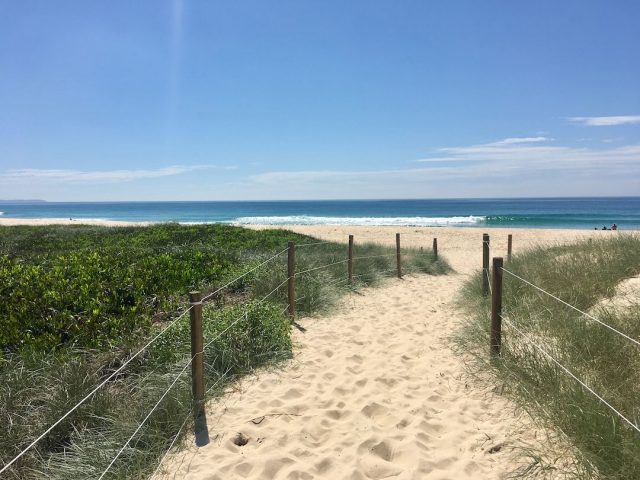 Off-leash Nine Mile Beach