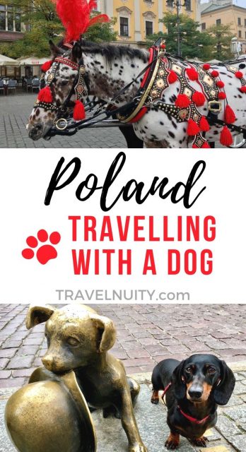 Poland Travelling with a Dog pin