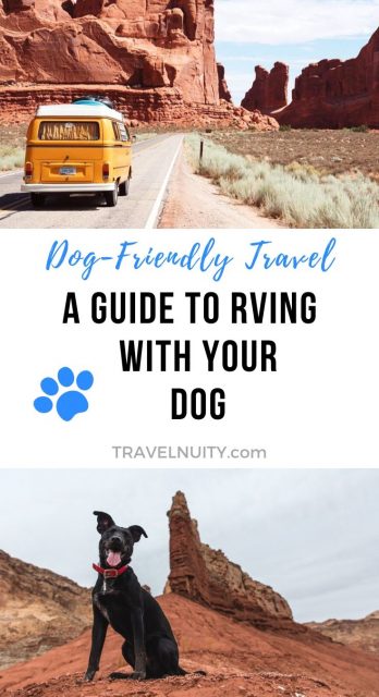 RVing with Your Dog