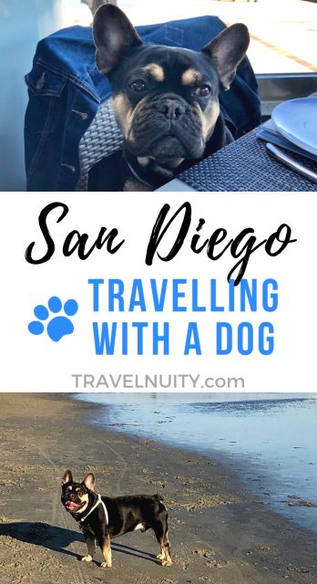 San Diego Travelling with a Dog pin