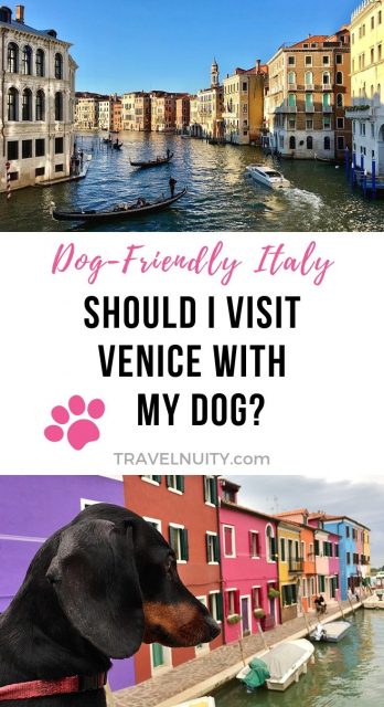 Should I Visit Venice With My Dog? pin