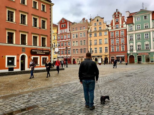 Travelling in Poland with a dog
