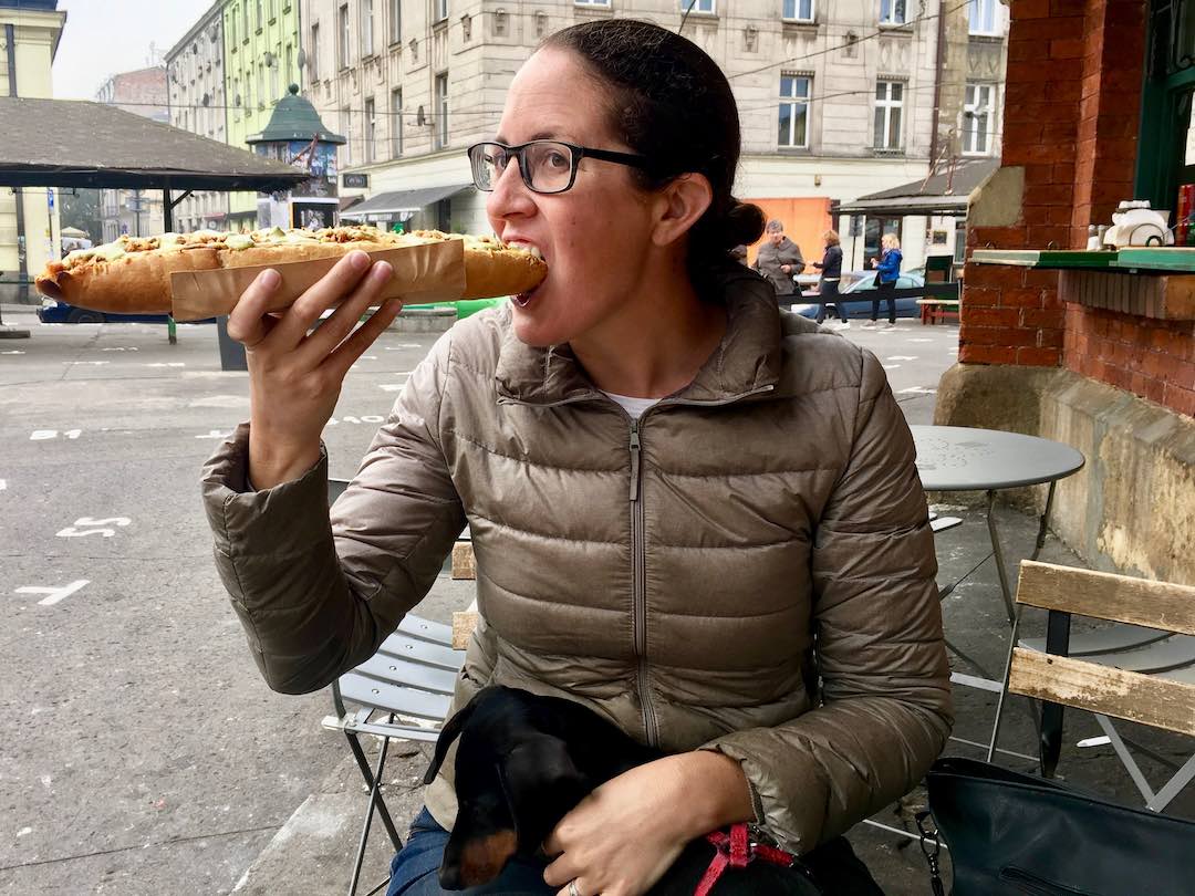 DogFriendly Poland Travelling in Poland with a Dog Travelnuity