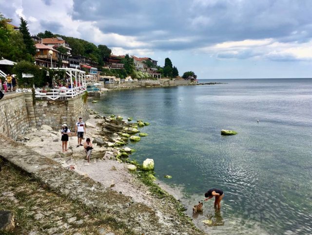 The rocky coastline with dogs at the beach in Nessebar