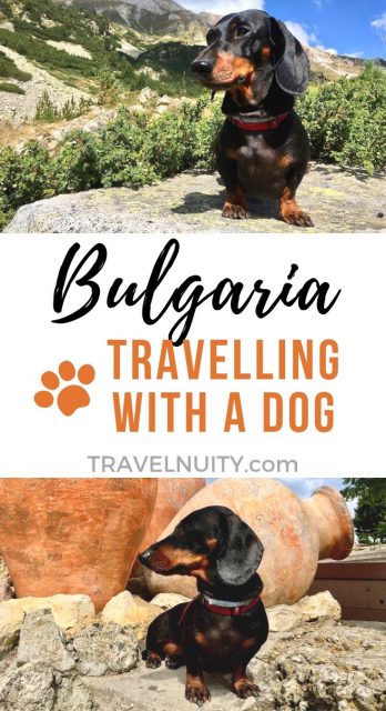 Dog-Friendly Bulgaria pin