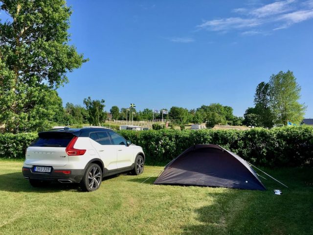 Road trip with dog: camping in Sweden