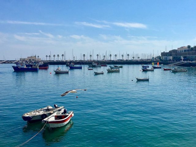 The harbour in Cascais