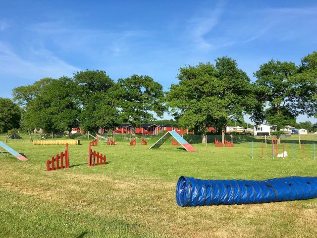 The dog agility course at a camping ground