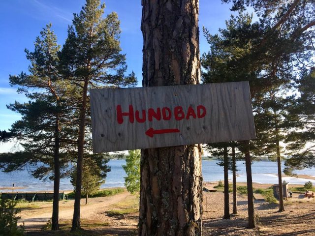 Sign to dog beach in Sweden
