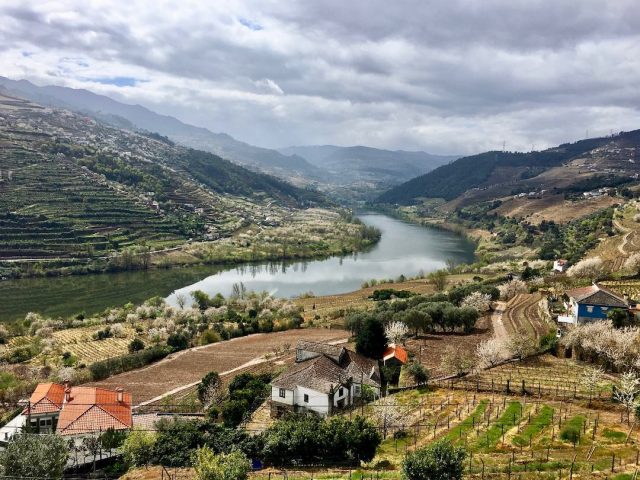 The gorgeous Douro Valley