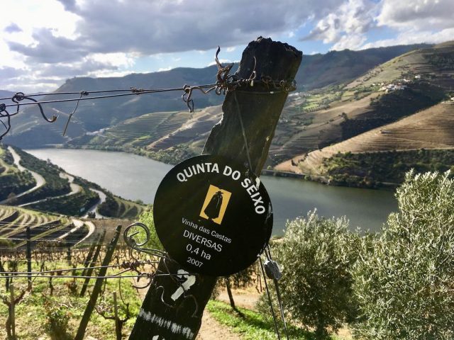 At Sandeman's in the Douro Valley