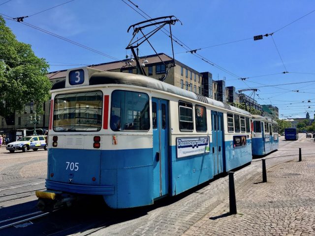 Dogs on public transport in Sweden