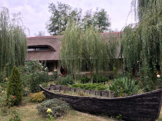 The garden of our guesthouse in the Danube Delta