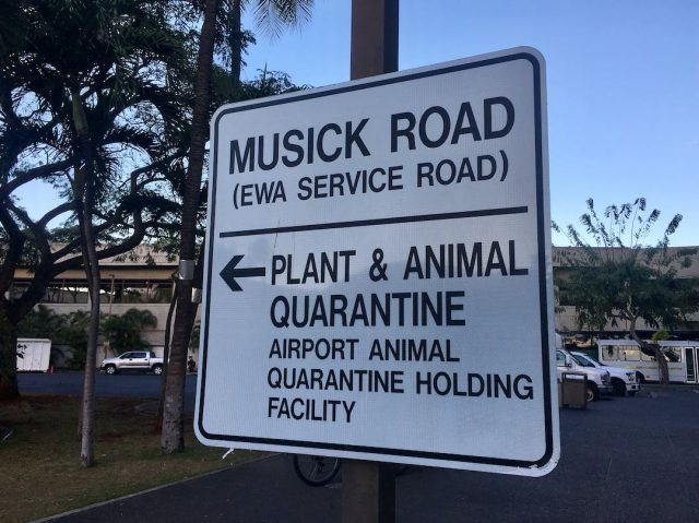 Hawaii pet quarantine