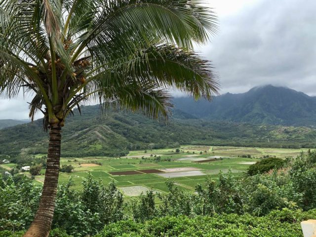 Hawaii farmland