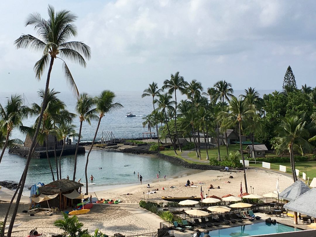 How to Fly to Hawaii with a Dog & Skip Quarantine Travelnuity