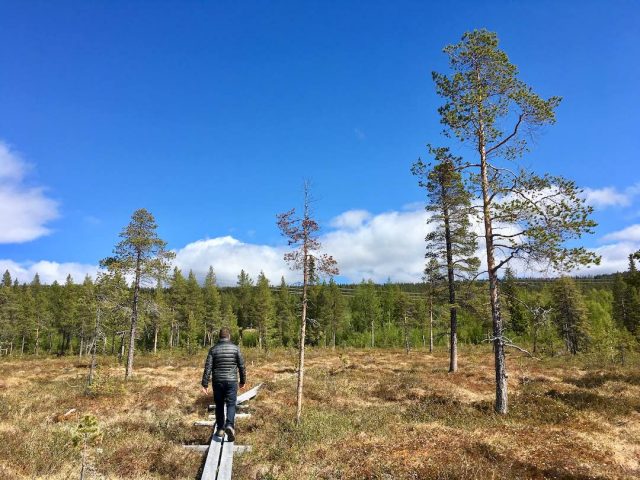 Hiking in Laponia