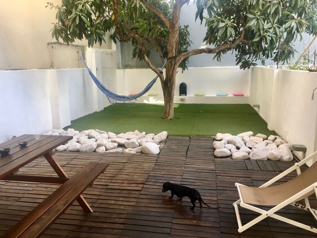 DogFriendly Portugal Travelling in Portugal with a Dog Travelnuity