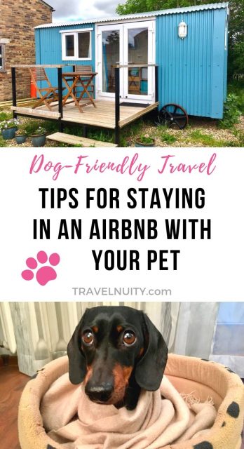 pet-friendly Airbnb tips