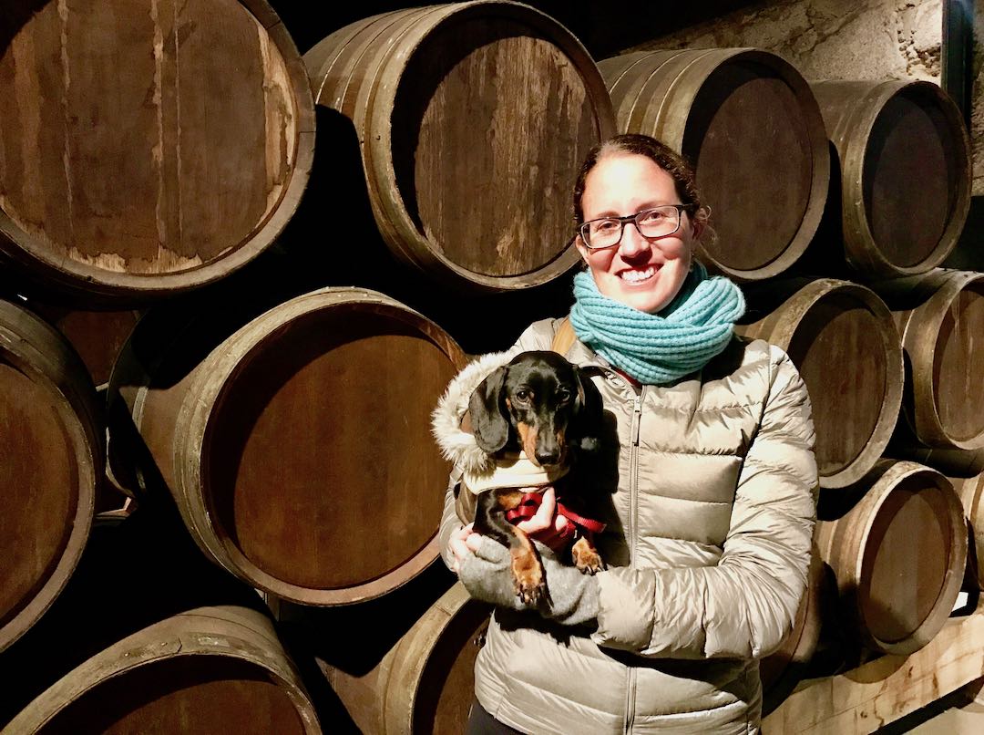 DogFriendly Portugal Travelling in Portugal with a Dog Travelnuity