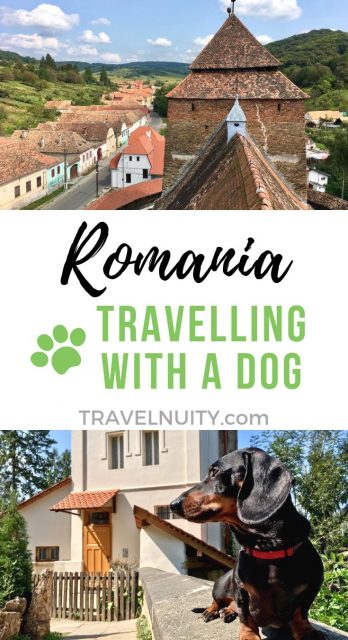 Romania Dog-Friendly Travel pin