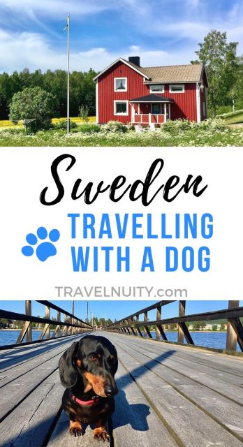 Dog-friendly Sweden pin