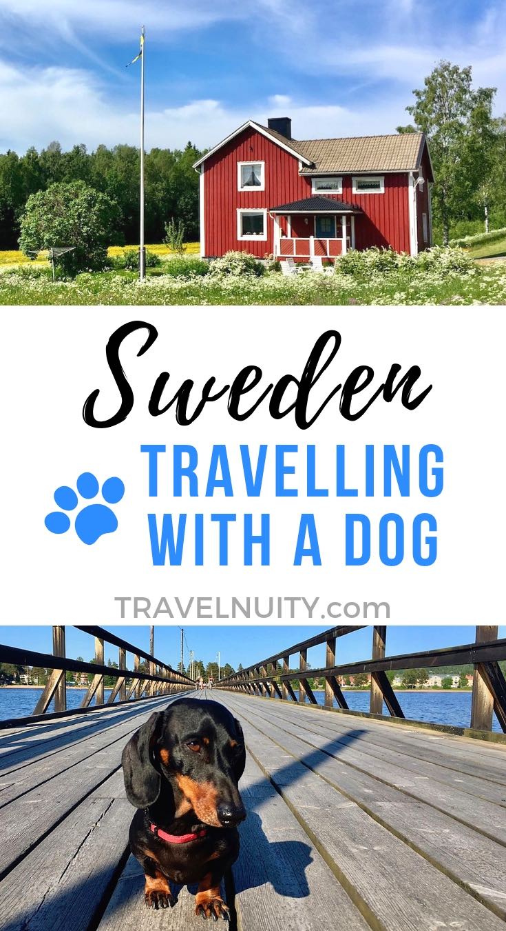 DogFriendly Sweden Travelling in Sweden with a Dog Travelnuity