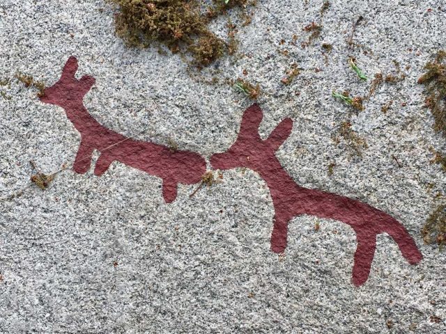 One of the Tanum rock carvings that may be of a dog