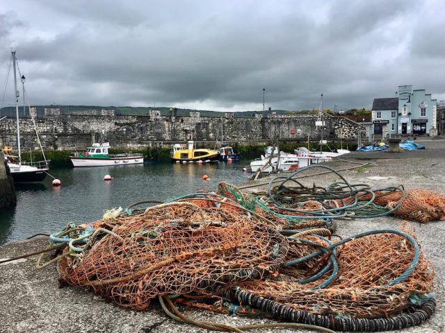 Taking dogs to Northern Ireland