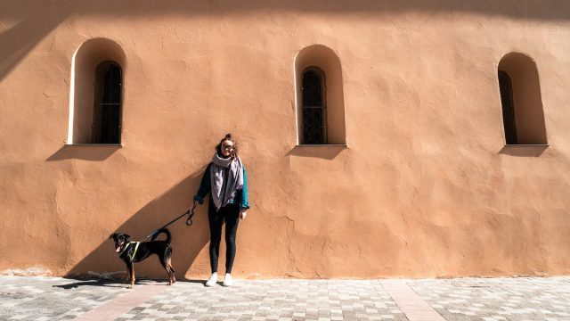 Flying with a dog from Thailand to France