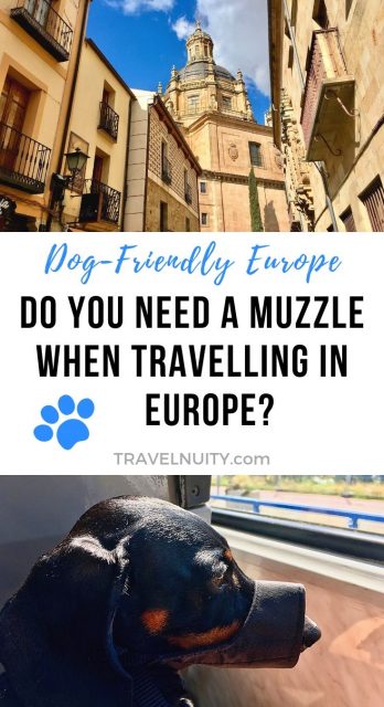 Dog Muzzle for Travel