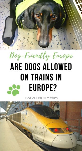 are dogs allowed on trains in europe